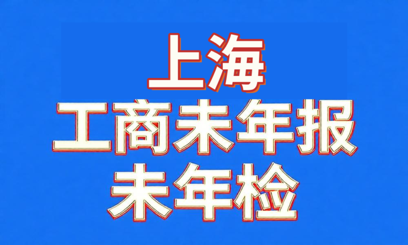 未做年检年报经营异常工商名录-上海-云图数智