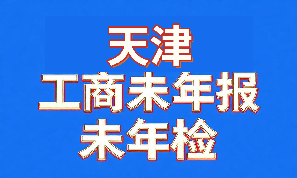 未做年检年报经营异常工商名录-天津市-云图数智
