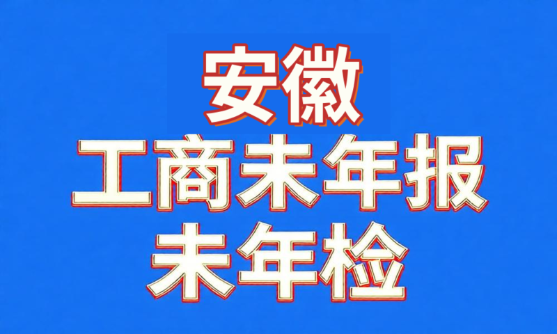 未做年检年报经营异常工商名录-安徽省-云图数智