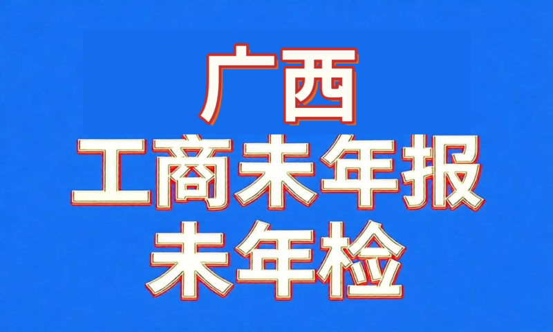 未做年检年报经营异常工商名录-广西-云图数智