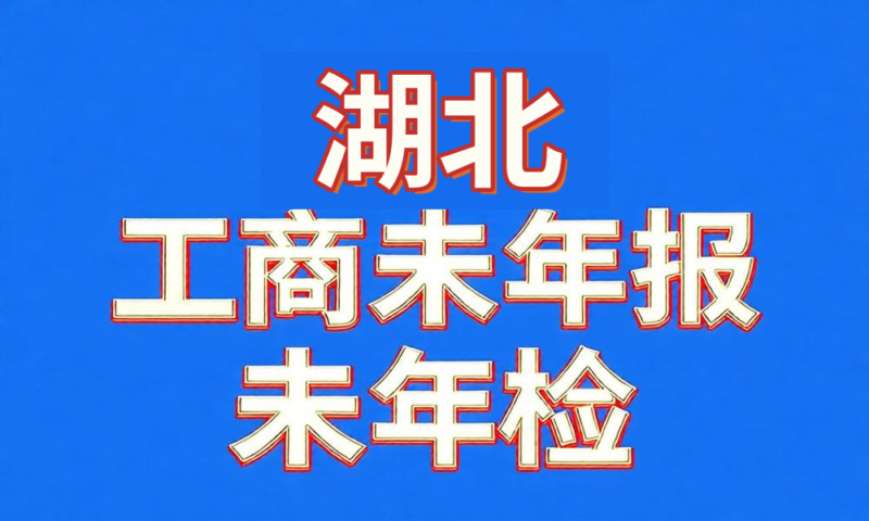 未做年检年报经营异常工商名录-湖北省-云图数智
