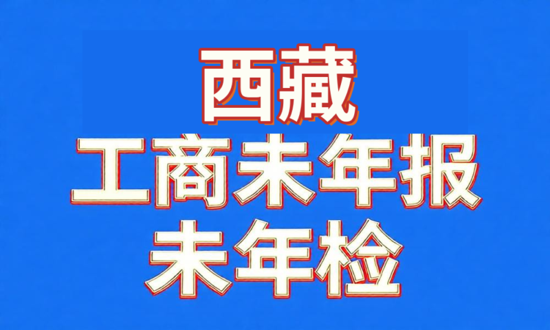 未做年检年报经营异常工商名录-西藏自治区-云图数智
