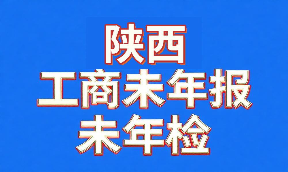 未做年检年报经营异常工商名录-陕西省-云图数智
